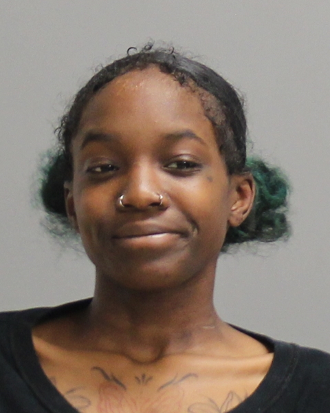 CLARK, PARIS DANYLLE booking photo