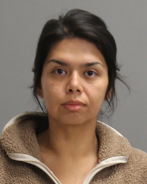 SILVA, ALANNA MARIE booking photo