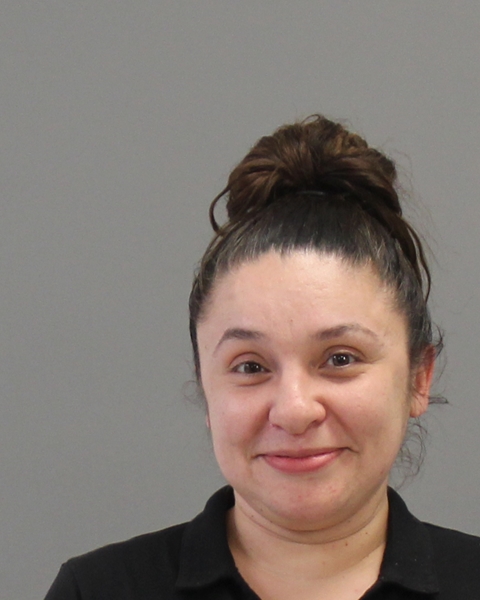 ROBERTSON, KRYSTAL NICOLE booking photo