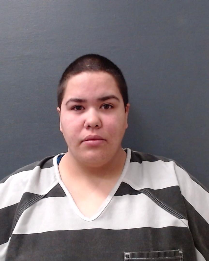 GONZALEZ, CYNTHIA LOUISE booking photo