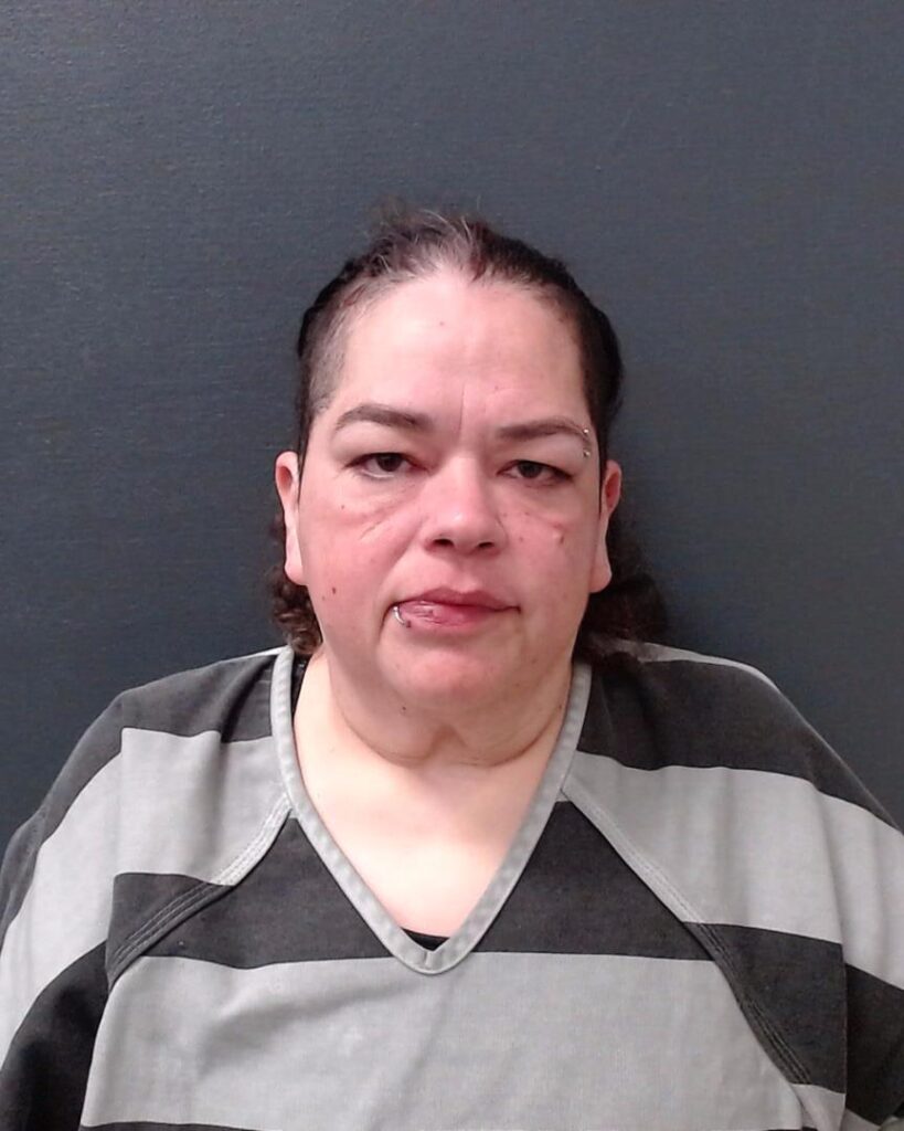 MARTINEZ, ANA LISA arrest record in Comal County, Texas MARTINEZ, ANA LISA arrested in Comal County, Texas mugshot