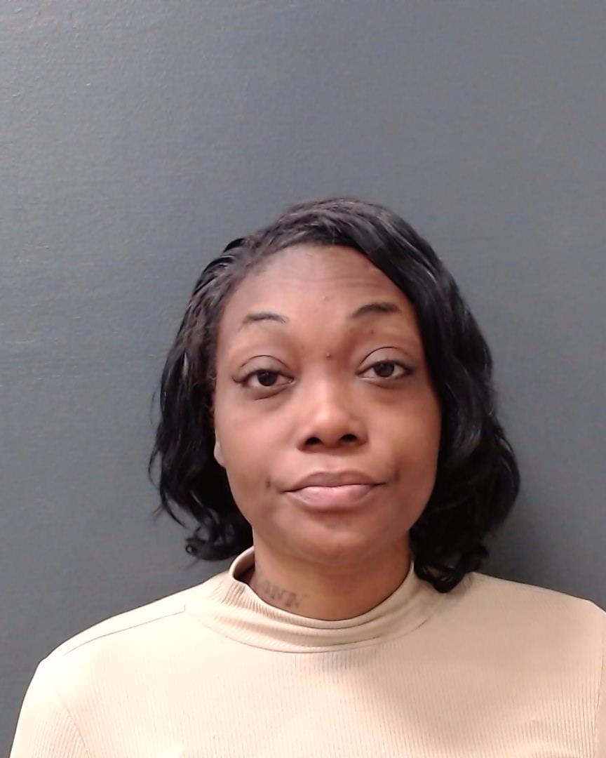 YOUNG, NAKEISHA SHAREE booking photo