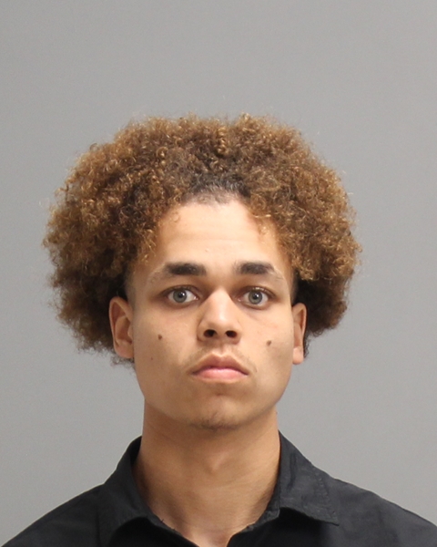 JACKSON, REGINALD MCLEAN booking photo