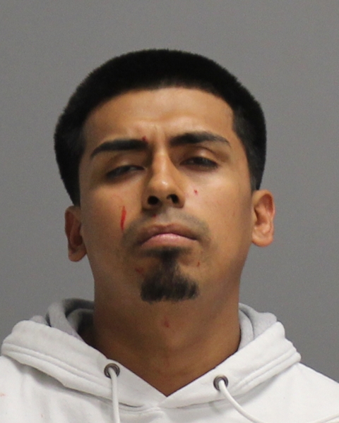 DELEON, EVARISTO, Jr booking photo