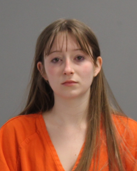 BOYLE, ELLEN CATHERINE booking photo