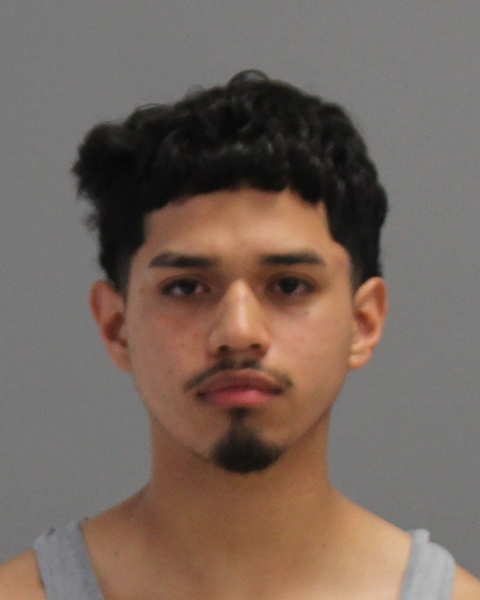 PEREZ-TORRES, FRANCISCO booking photo