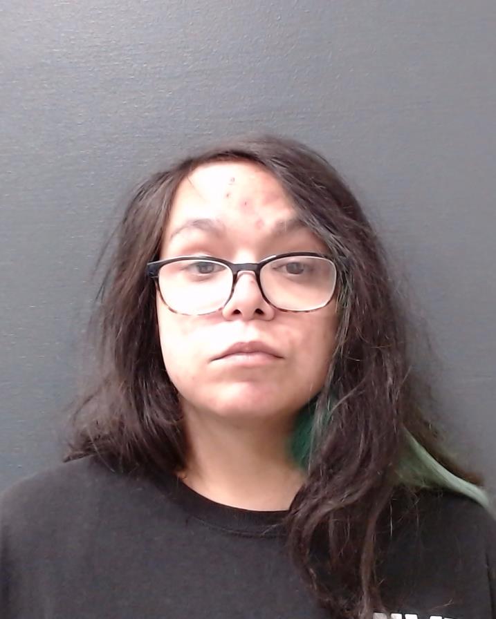 DIAZ, PRISCILLA booking photo