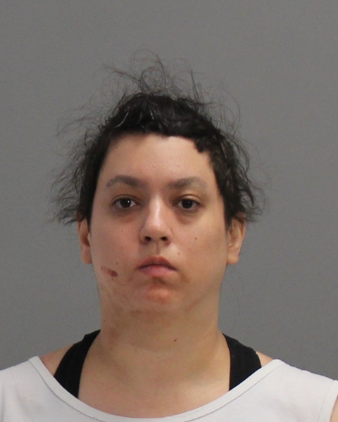 LILES, EMILY booking photo