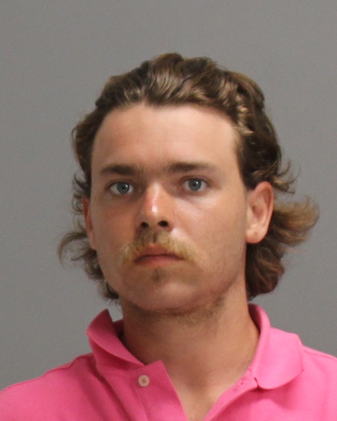 Haag, Nathan Joel booking photo