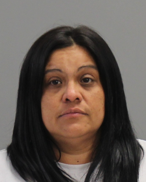 KRAUSE, MARY LESA booking photo