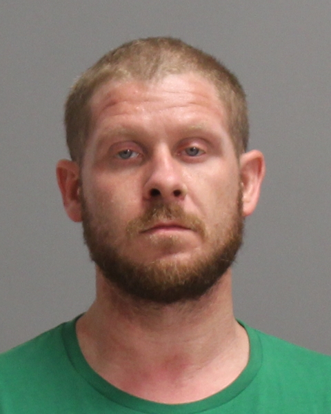 HAYNIE, BRANDON DUSTIN booking photo