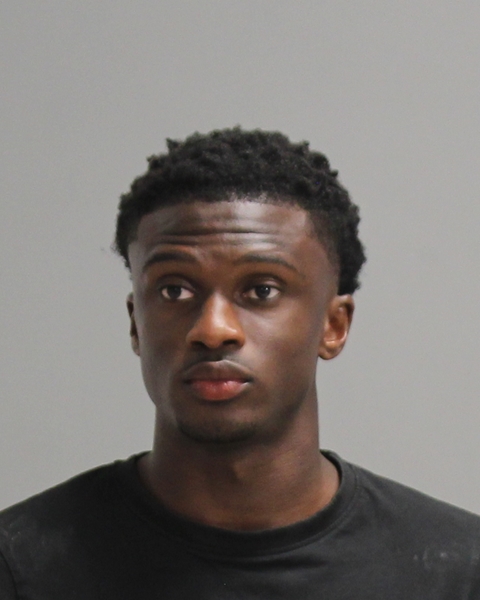 UDUNNA, JEDIDIAH EBUBE CHUKWU booking photo