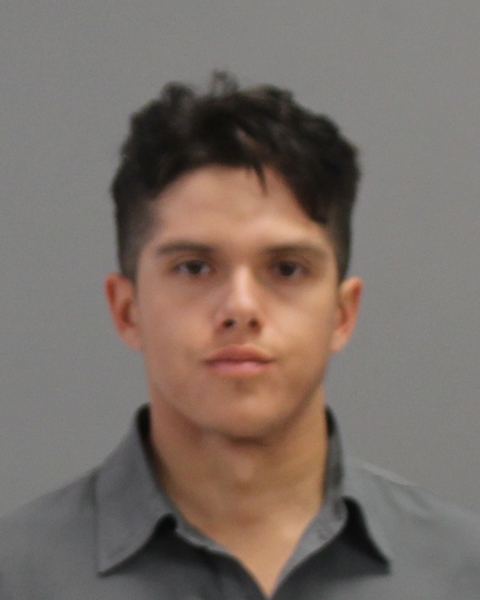 RUIZ, CARLOS booking photo