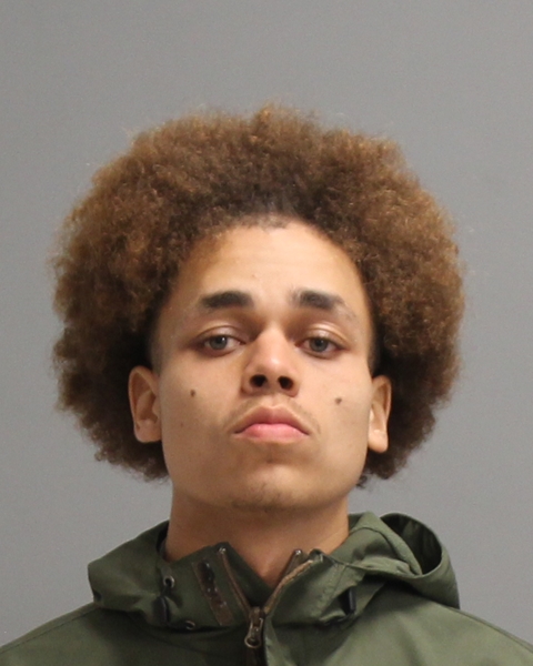 JACKSON, REGINALD MCLEAN booking photo