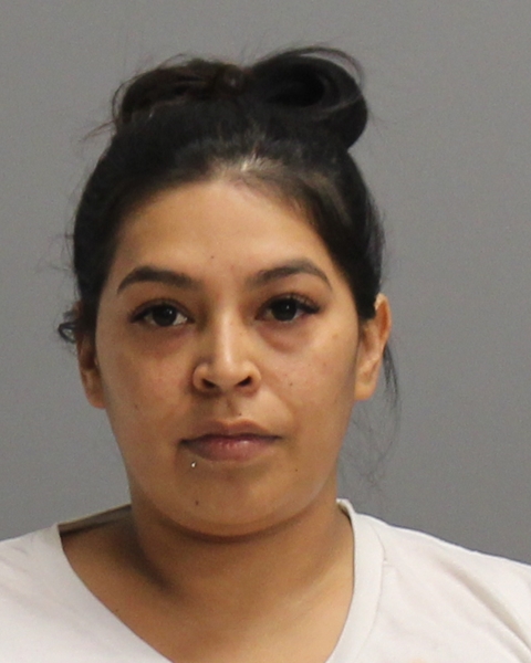 REYES, ANGELICA MARIE booking photo