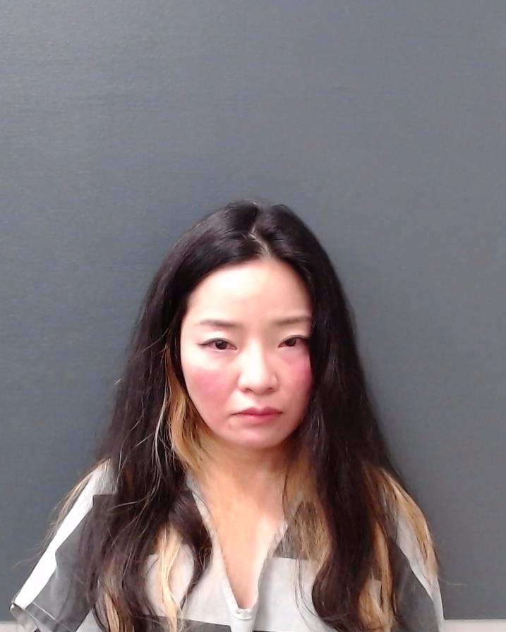 WANG, JIAMENG booking photo