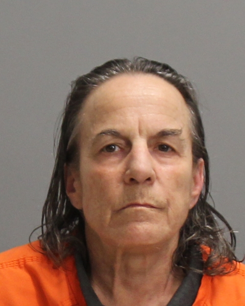 HAUSER, ANTJA DOROTHEA booking photo