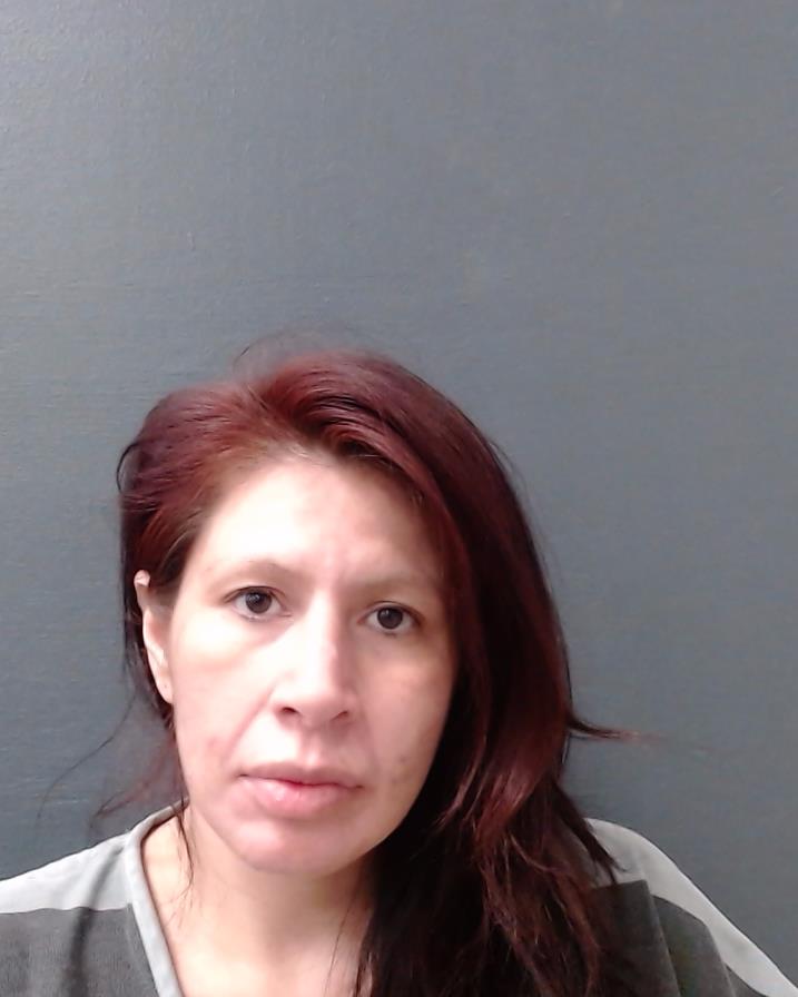 VASQUEZ, ANNA C booking photo
