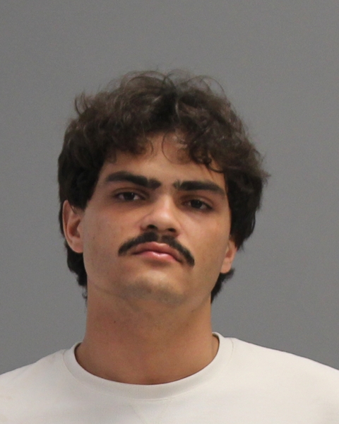 REYES FLORES, SILVINO EDUARDO booking photo