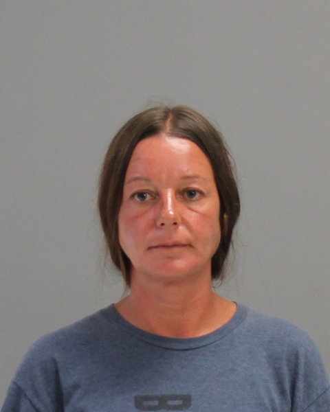 MCBRIDE, ANNA booking photo