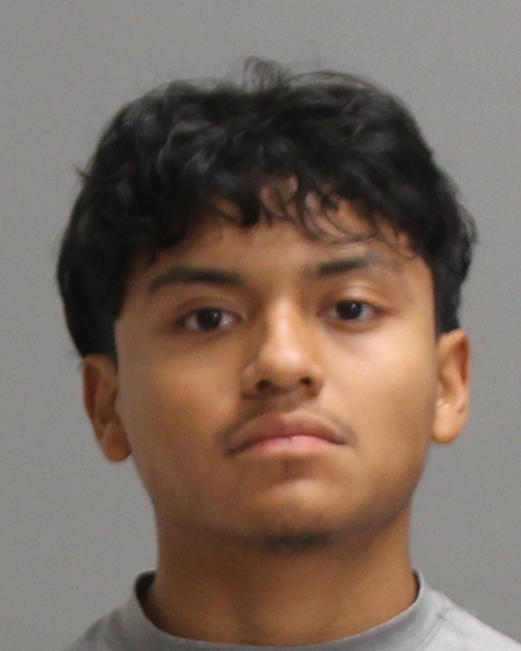 HERNANDEZ, EDWIN booking photo