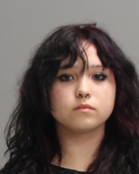 VENTURA, EVE LANE booking photo