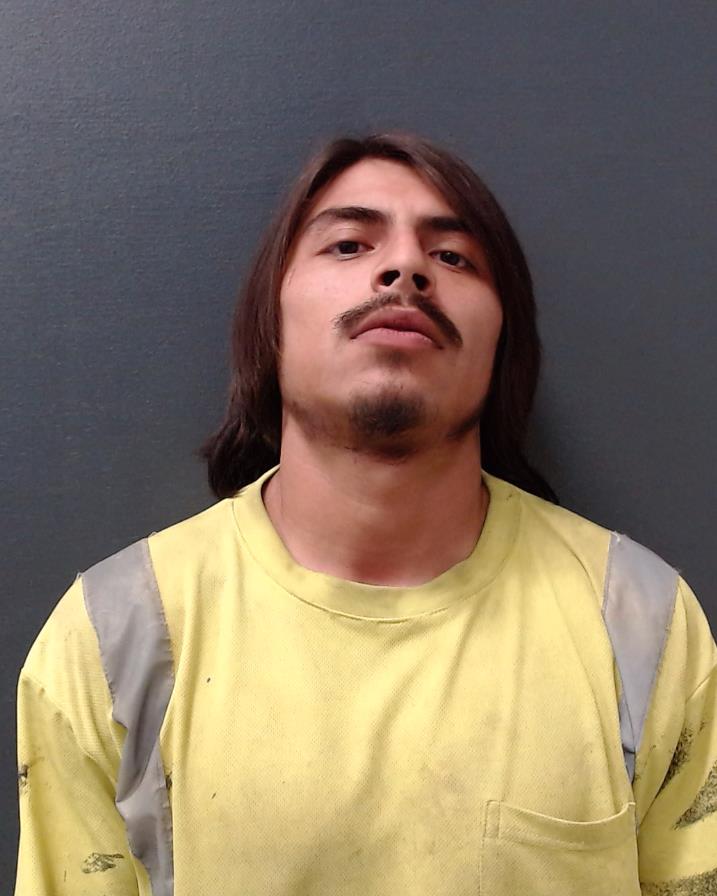 HERNANDEZ, ROMAN GUSTAVO booking photo