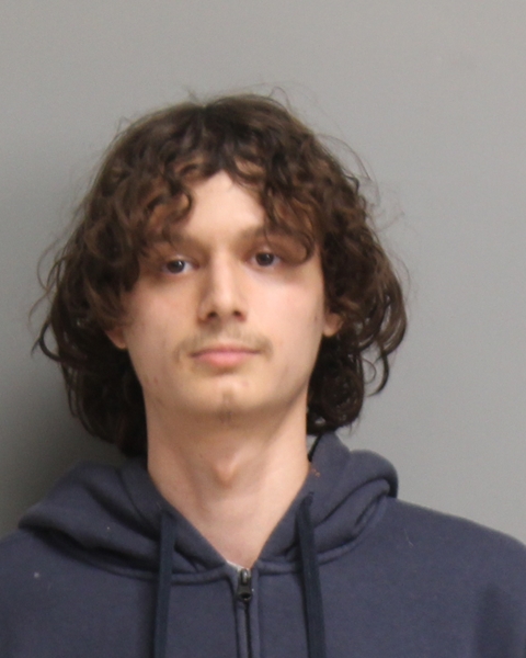 GUZMAN, MARTIN VEGA booking photo