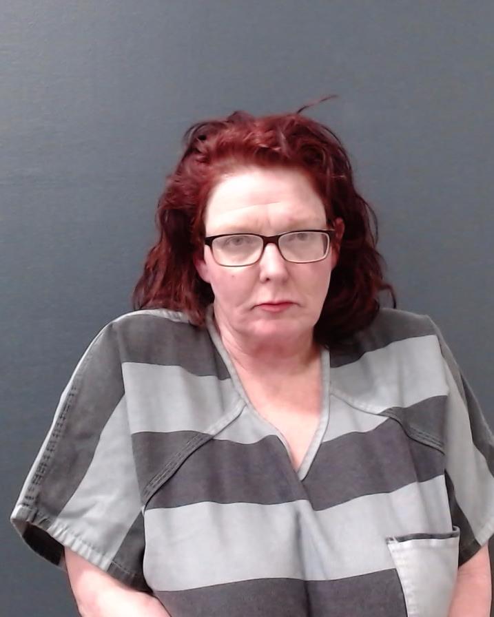 FANNIN, JODI LYNN booking photo