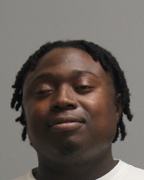 GOODEN, ARTHUR LEE booking photo