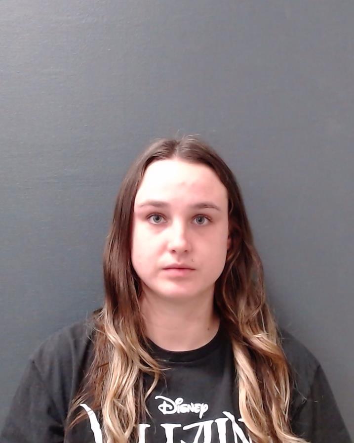 AYRES, ELIZABETH LYNN booking photo