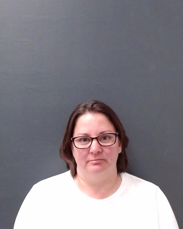 SCHNEIDER, KRYSTI GAYLE booking photo