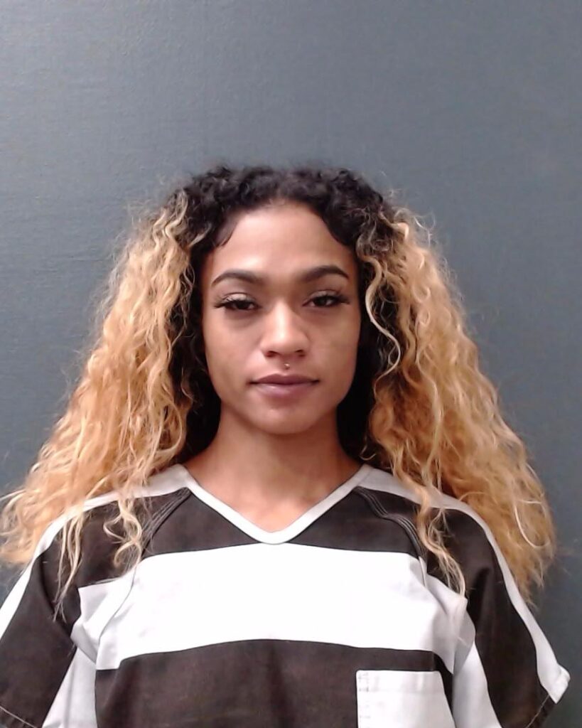 HERNANDEZ, GABRIELLA NICHOLE arrested in Comal County, Texas mugshot