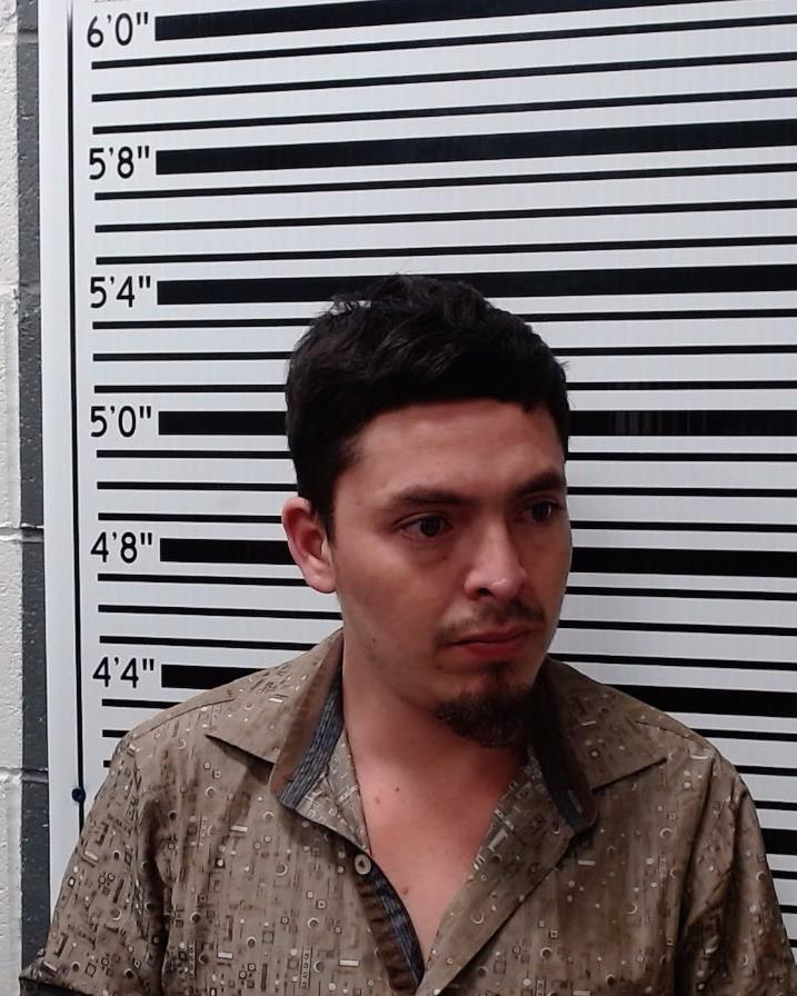 PORTILLO SARMIENTO, JOSE MERLIN booking photo