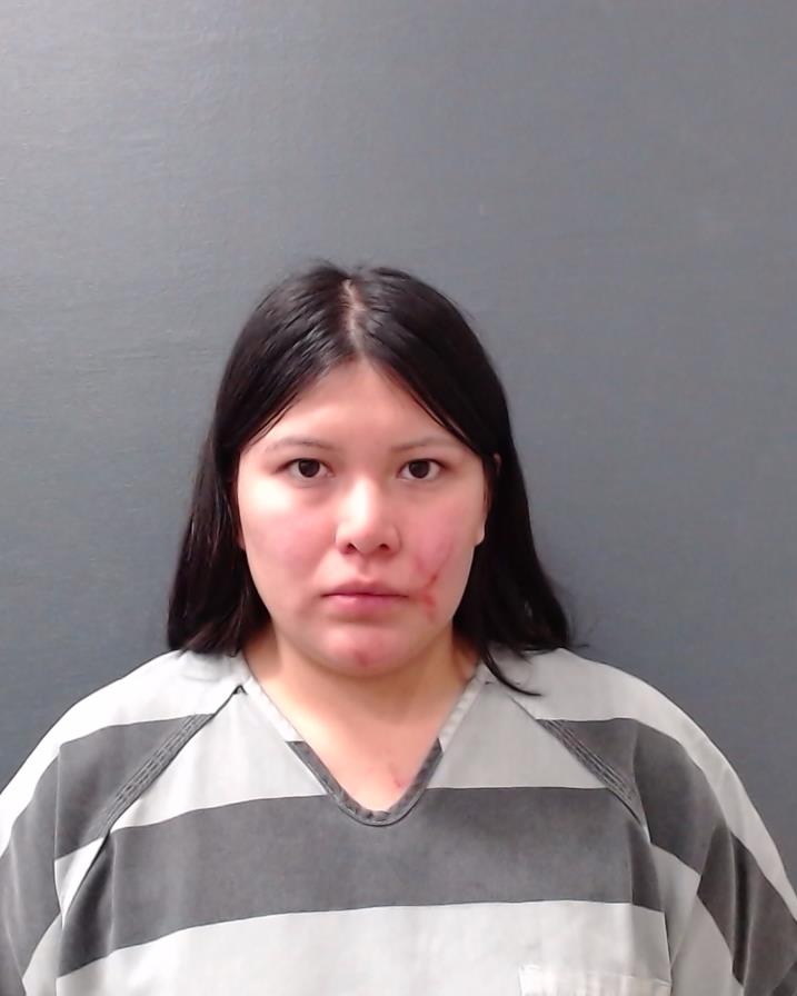 DAVIS, KAYLA SUE ANN booking photo