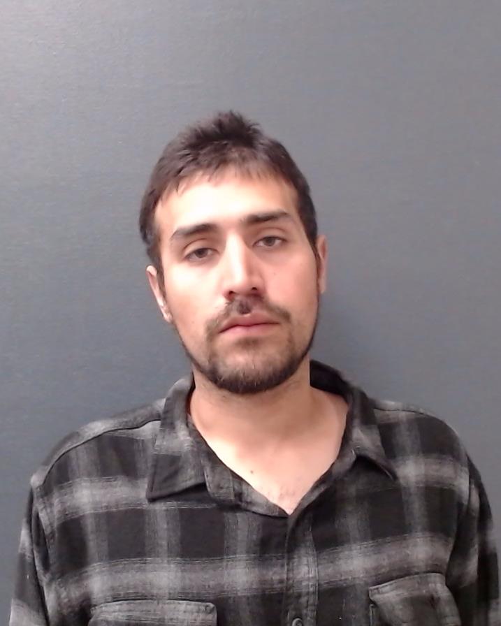 IMMING, ROLAND JUSTIN booking photo