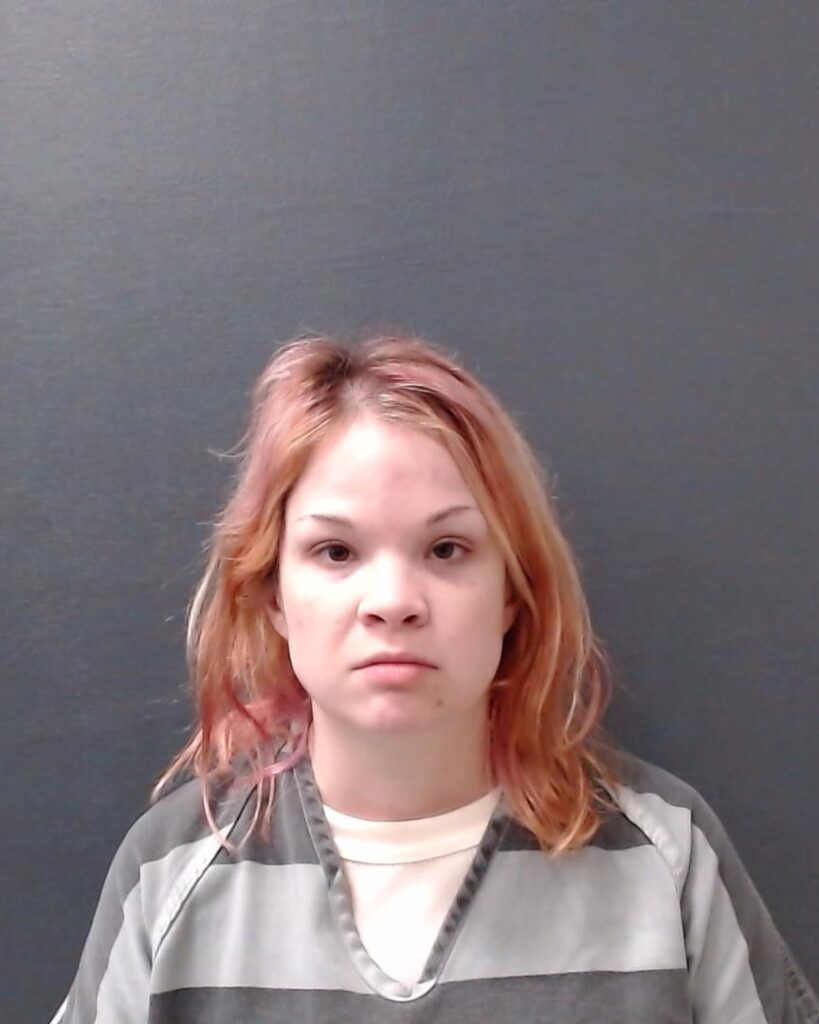 DOLLAHITE, NATALIE LYNN booking photo