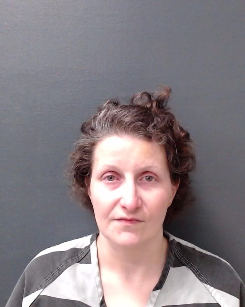 SALAS, SARA MICHELLE booking photo