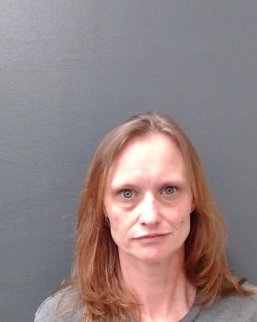 YOUNG, HEATHER JO booking photo