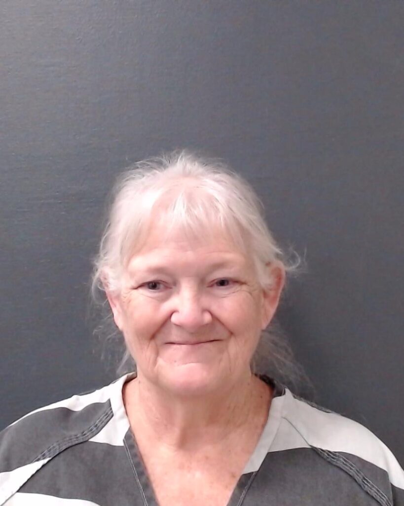 PARSONS, CHRISTINE ELIZABETH booking photo