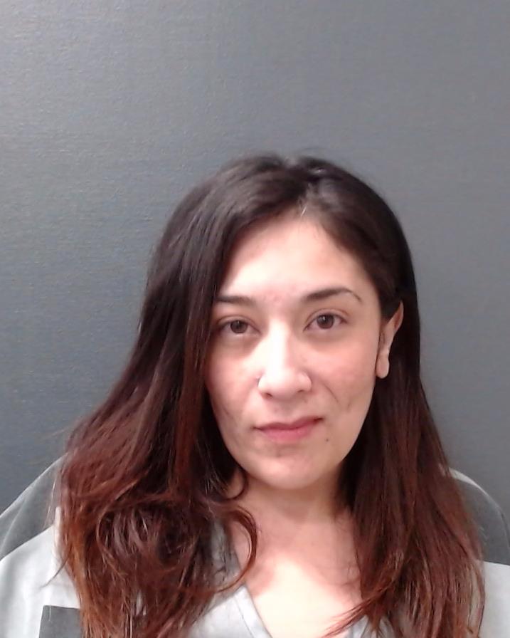 FABELA, SYLVIA ANN booking photo