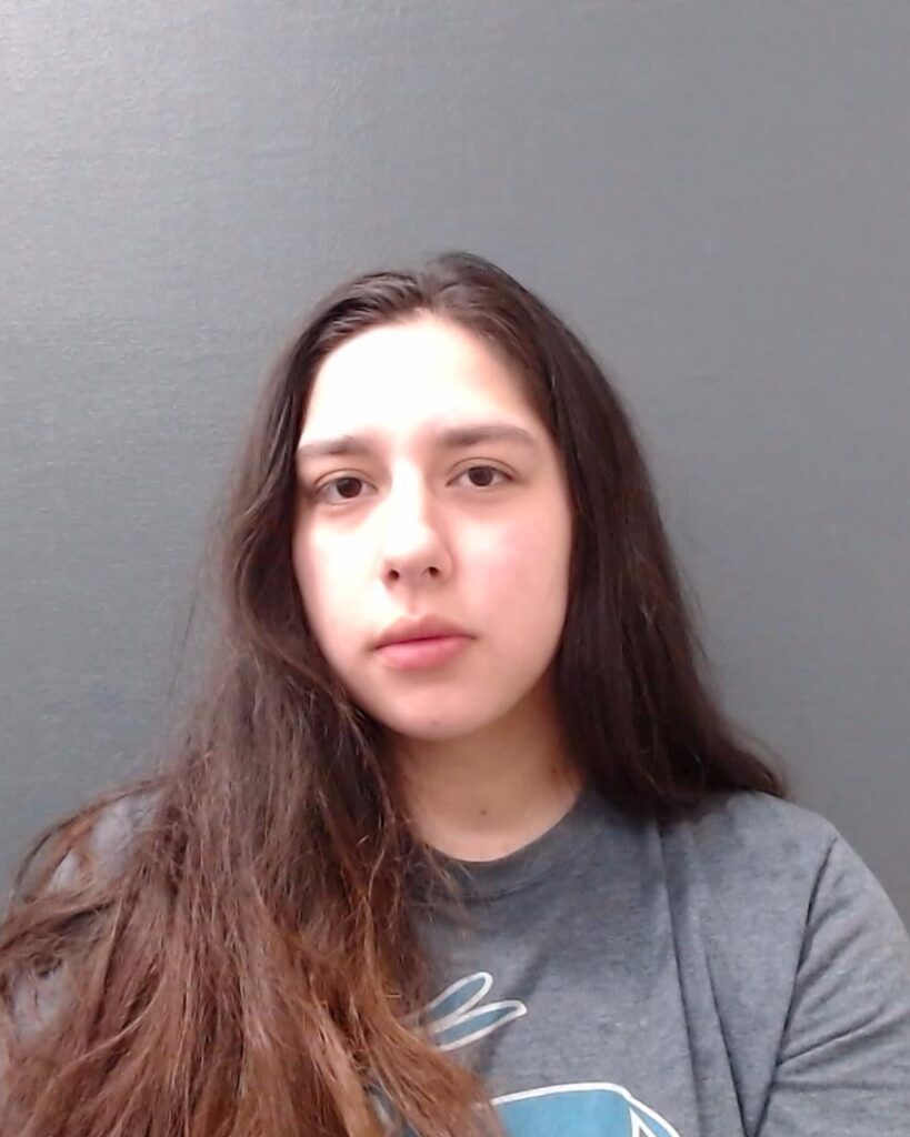 HERRERA, TERESA MARIE booking photo