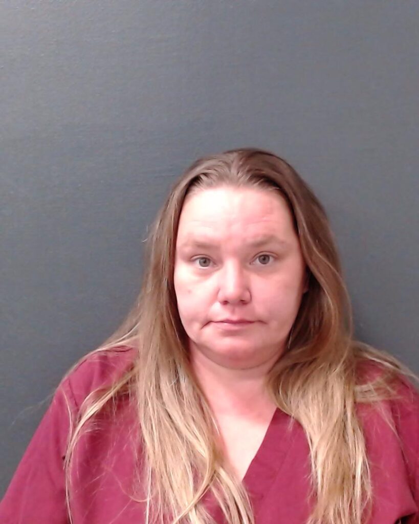 DREER, MISTY LEEANN arrested in Comal County, Texas mugshot