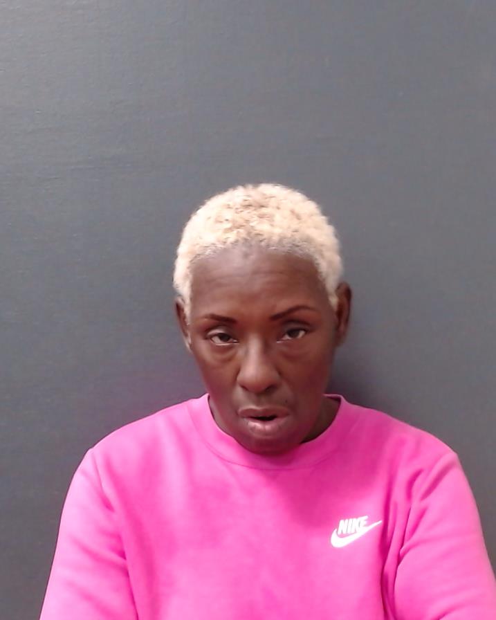 JONES, CHRISTINA LAVERNE booking photo