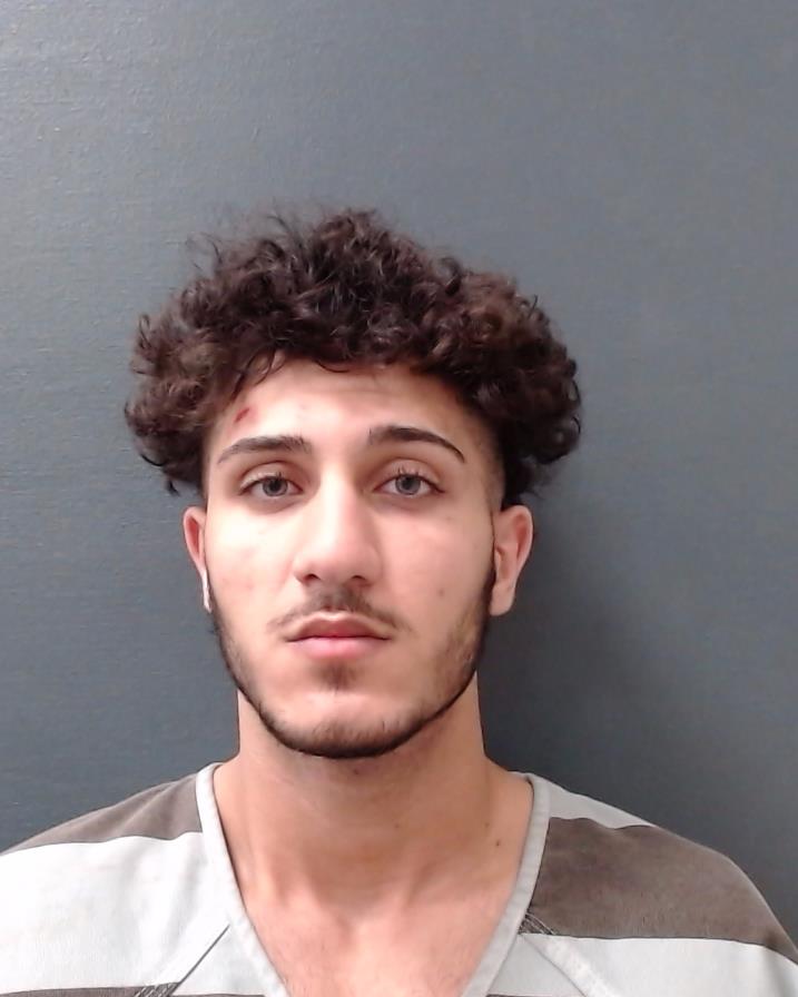 BERENJIE, ARASH booking photo