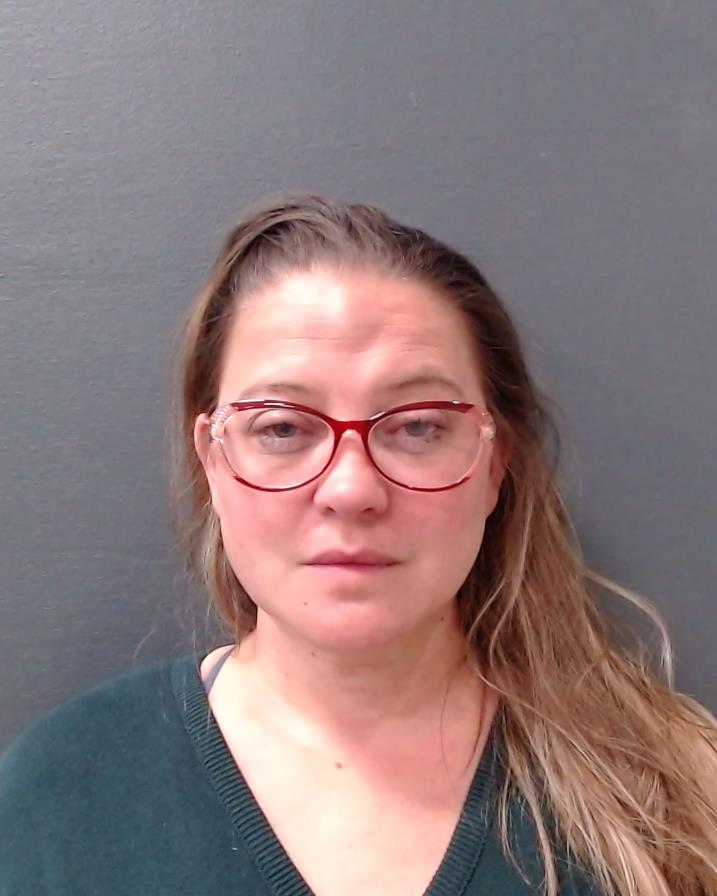 PALMER, DAWN MARIE booking photo