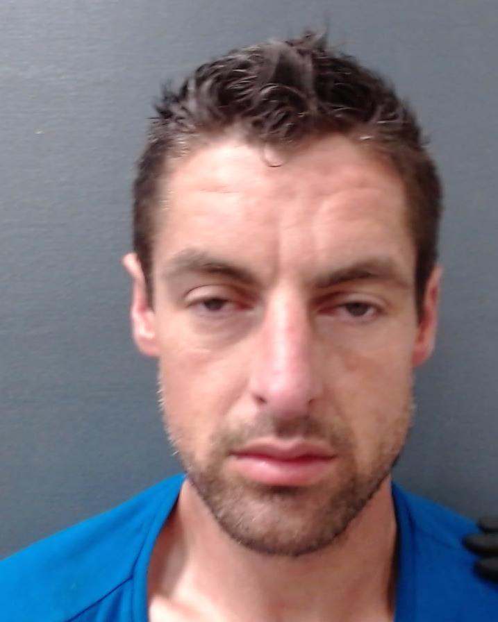 MCDERMID, CAMERON booking photo