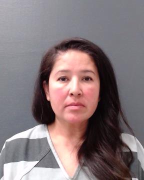 LEVINE, NADIA LETIZIA booking photo