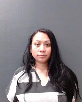CASTILLO, ANNA MARIE booking photo