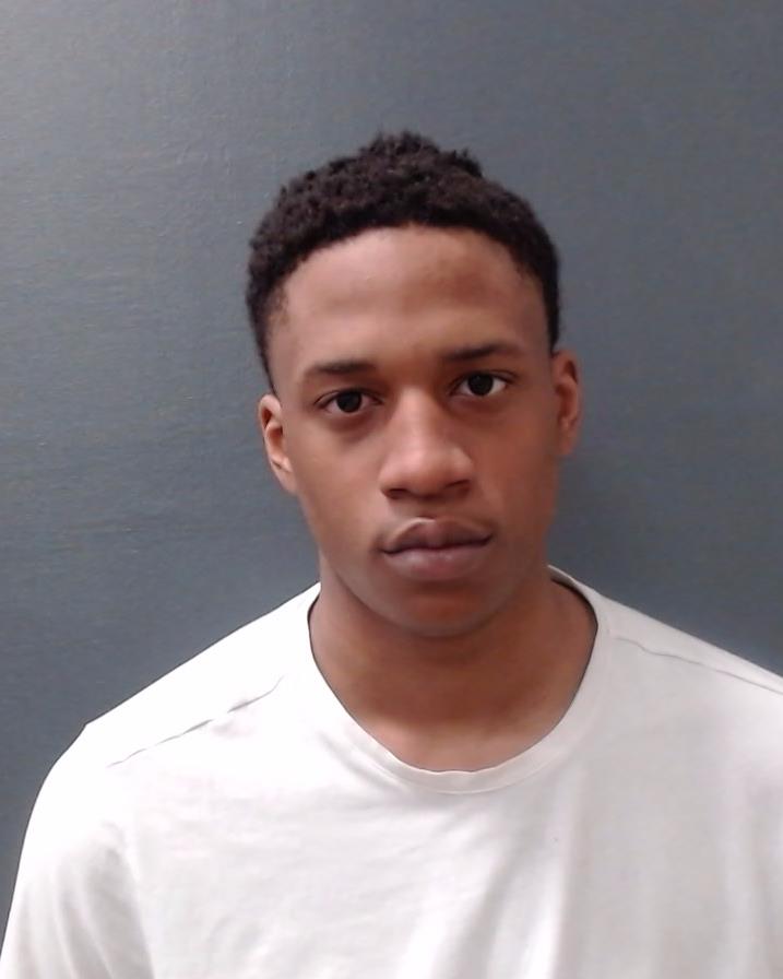 WILLRICH, RAYLYN RAYSHAWN booking photo